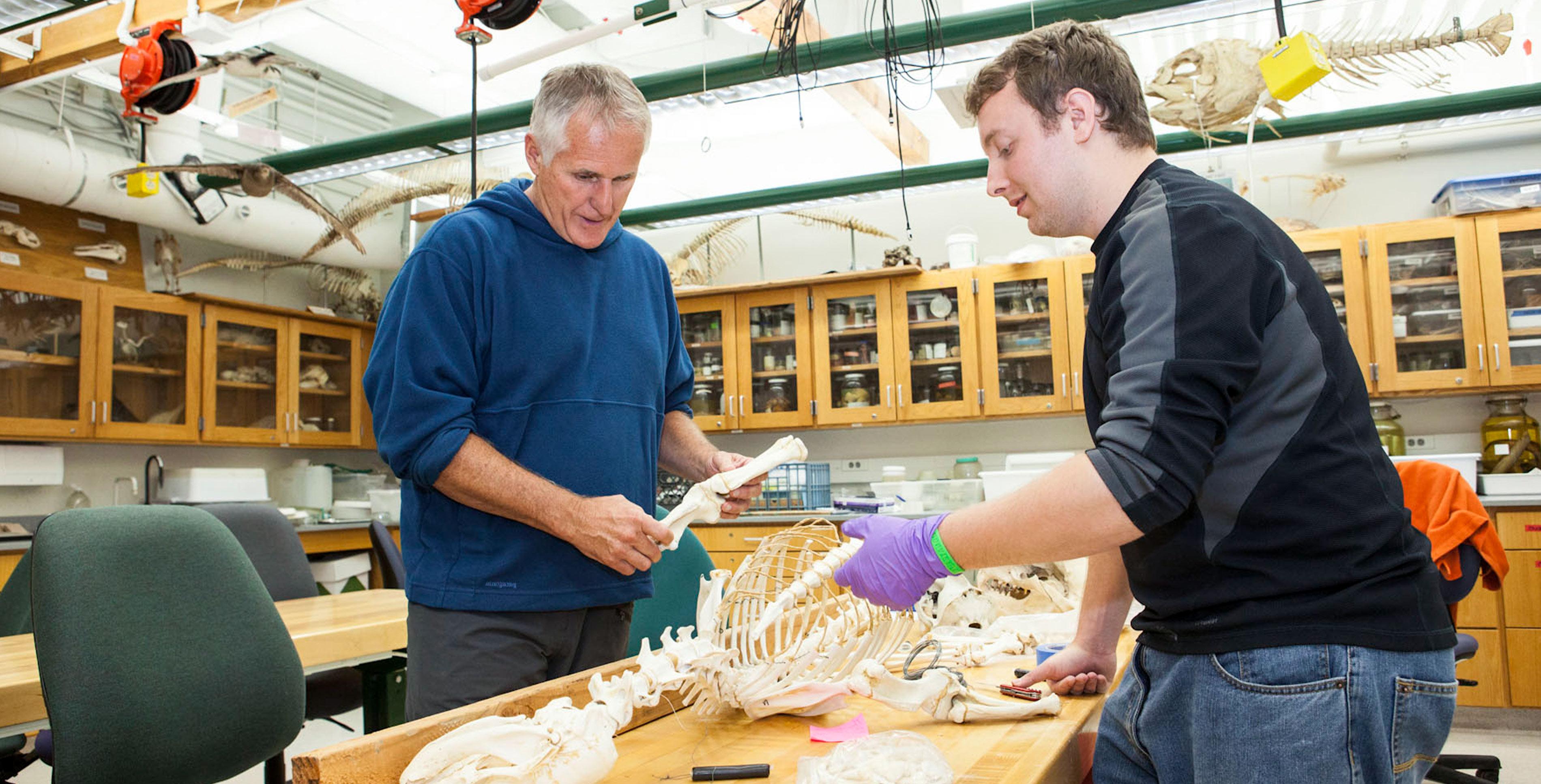 faculty advisor of the MLML Vertebrate Ecology Lab, Jim Harvey and student.